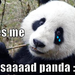 Shlay Shlay