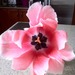 mcqn8