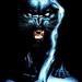 panther99