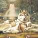 wolfandlamb wolfandlamb
