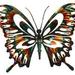 BUTTERFLY555 BUTTERFLY555