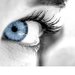 eyesofblu eyesofblu