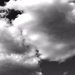 Clouded_Vision Clouded_Vision