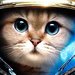 kitty227
