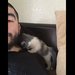 CrazyCatMan