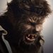 Wolfman