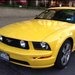 MustangMomma