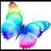 Fly_Butterfly