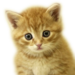alex_23 alex_23