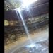 blind31717 blind31717