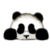 TerriR