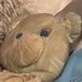 bluebear1997 bluebear1997