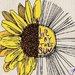 drab.sun drab.sun