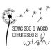 adandelionwish adandelionwish