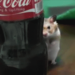 anonima13