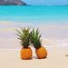 pineapples pineapples
