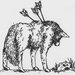 WildWolfKing