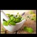 herbalultralife