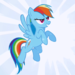 rainbowdash999
