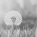 BrokenMirror