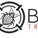 BedTreatment BedTreatment