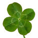 CloverMoon