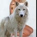 Wolfy