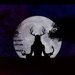 luciddreamer luciddreamer