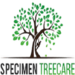 specimentreecare