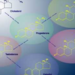 CreativeBIolabs CreativeBIolabs