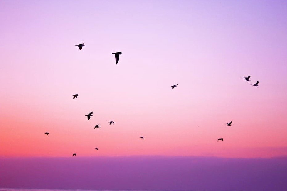 243567d5d2373de08c6df270cfa2edcb31b0a538.png