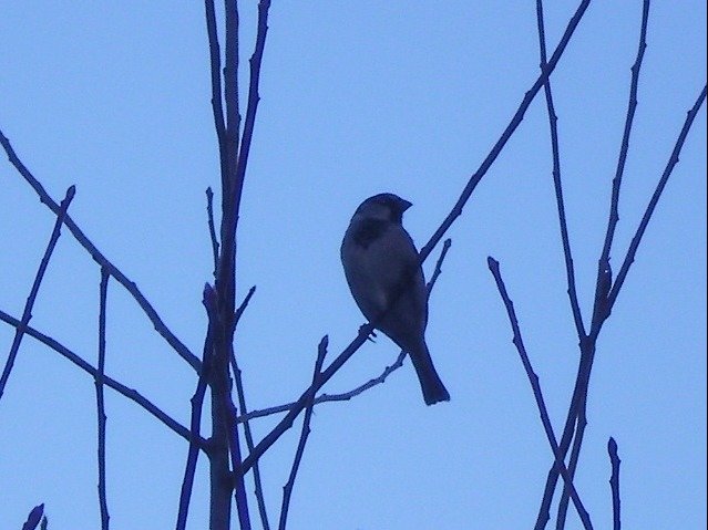 eab23ae0069502533f0c777f8eb4628bf984473e.png