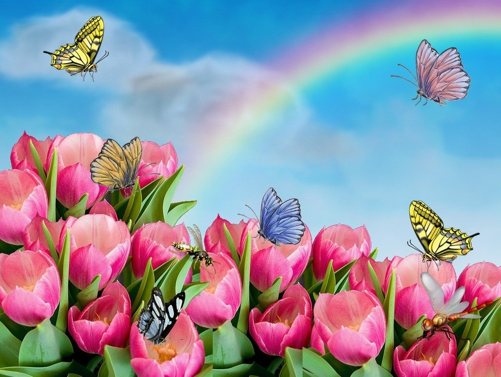 097dc2837724203c3591fc475e4dee1d79634b4c.png