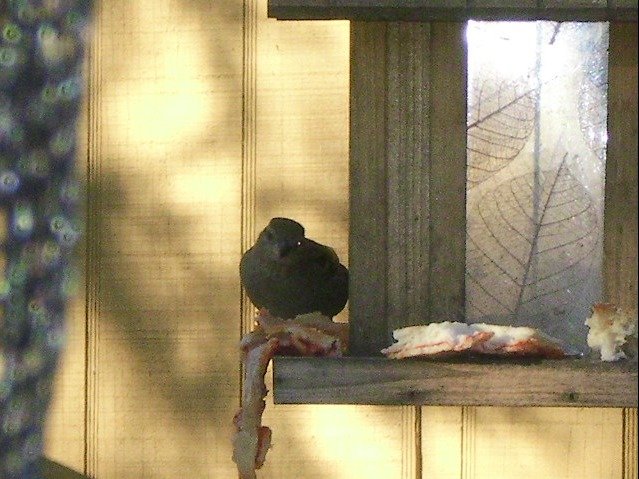 43e8241fd13021147c20801a00e08de12ffb6d23.png