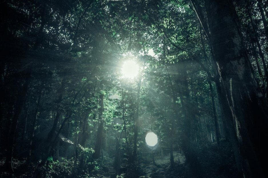 d769a3a97bbb78dd1d1e0d8557bcc3f0849572ad.png