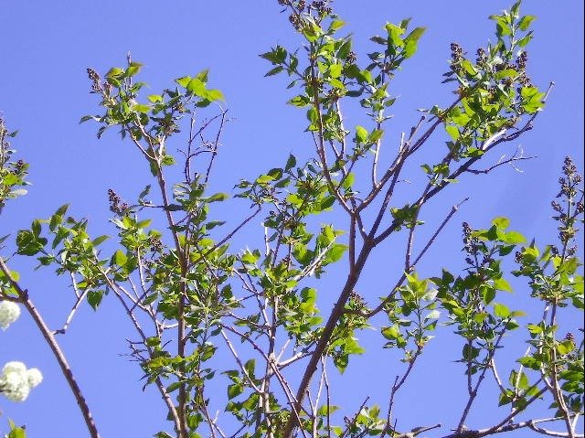 03d8ae6e869c1508f294bee86fc03e6d00bda9f4.png