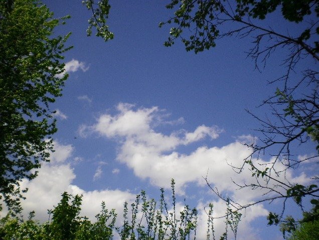 159c693ed960fffe0af332517d57ac7c835dd068.png