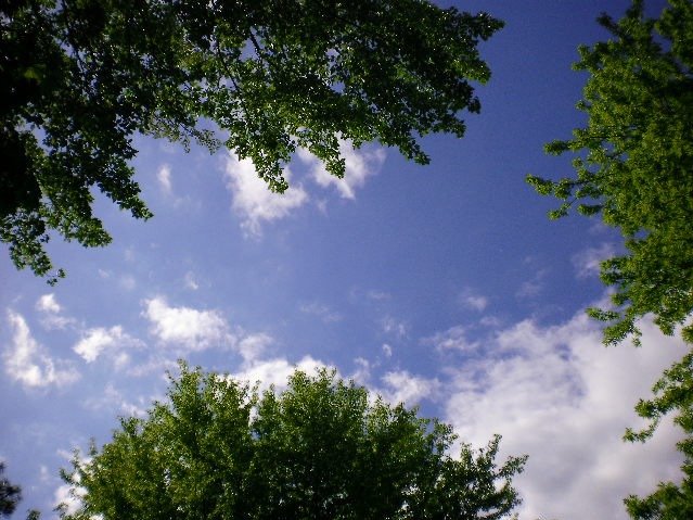 52601251101e5447b98c0c8be1613a9895b42beb.png