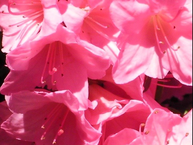 6a507bda744f5ba832375f4e3713ad95a5bf653a.png
