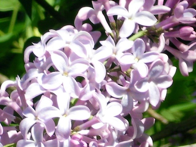 90ebf02b5094c24035c0610c85f798e3ef350a84.png