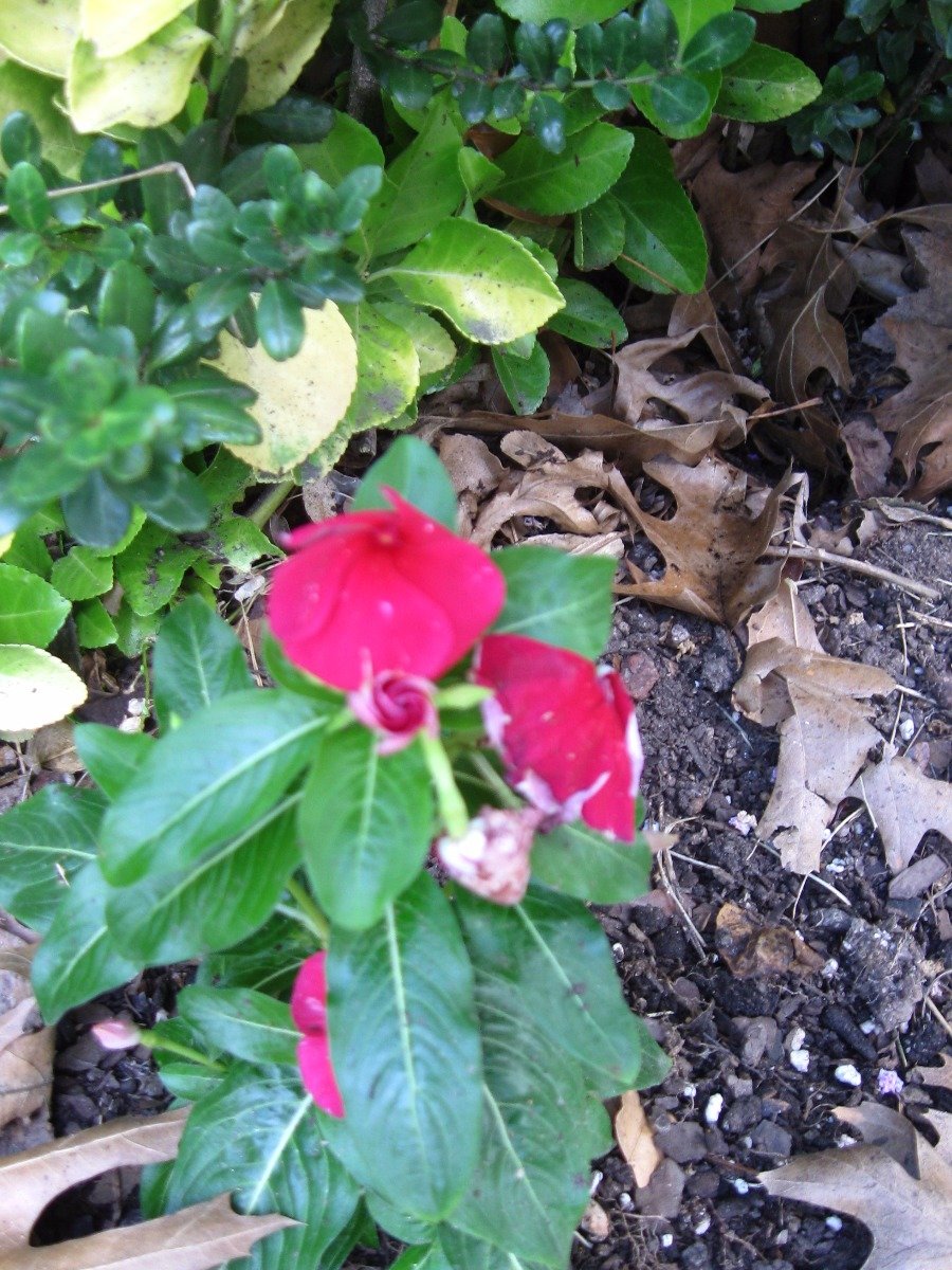 057c8628fdd1ff113e8ddb427ffd907fd4ac9f1a.png