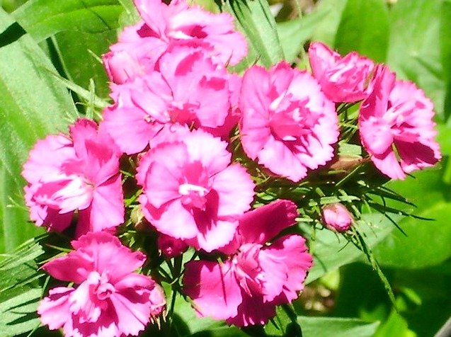 2d04beeae49b0d1978167811c4d87fa78236e013.png