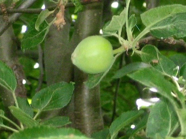 4d9d8e32fa8ac66f1cd8ff7e2501ce210efc3223.png