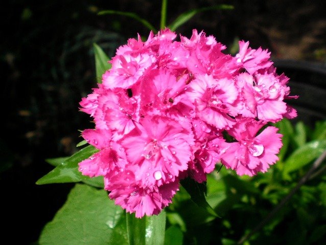 8161d1c1f32012731c53d0c7ce82147afdb8479d.png