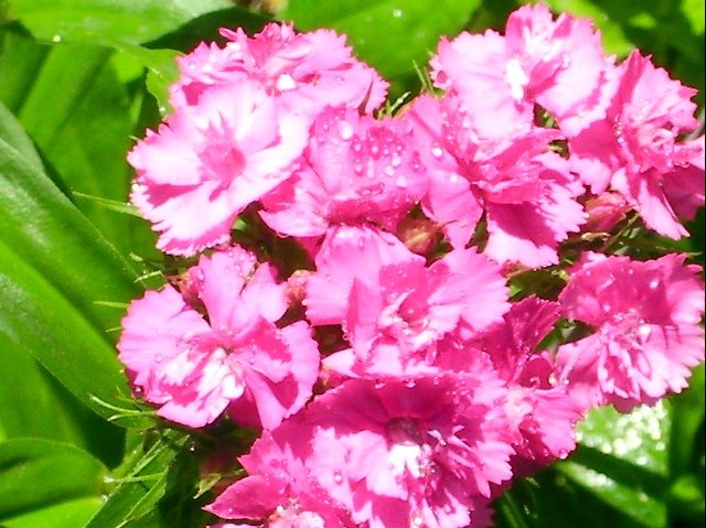 a7a895f3d846f6e9e9c3228c8fcaf735fc40d68b.png