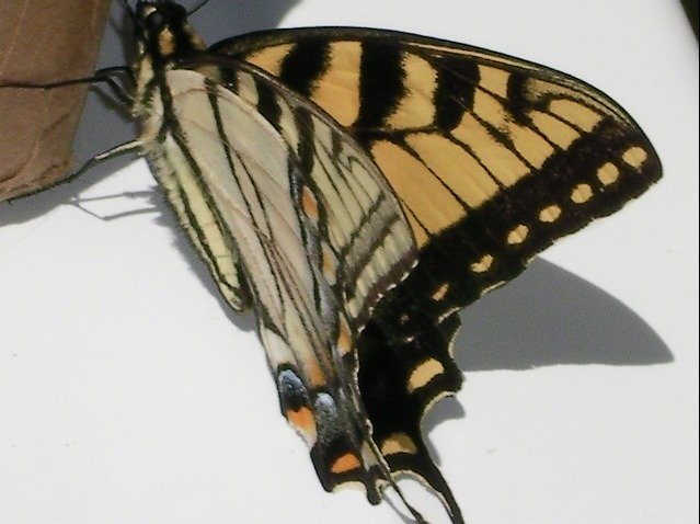 d02e997d3239080c8898e53e51471b8b0b7b81c3.png