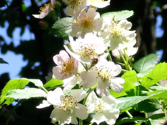 edf432bf13fde72840865ef31dd0869654c25d87.png