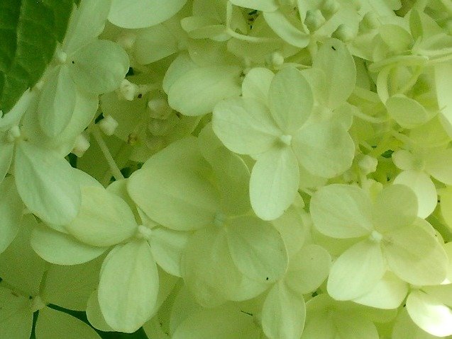 1a5b975adea28a35dade5ae8d6b0bf4cc800f203.png