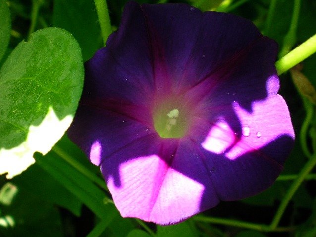 2692d4a40b12abf7a08aec5c6d56a719dd8f4d1c.png