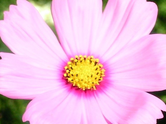 4477cdabf1ae1d0d67d6c5333c32e8c62c4aaa5c.png